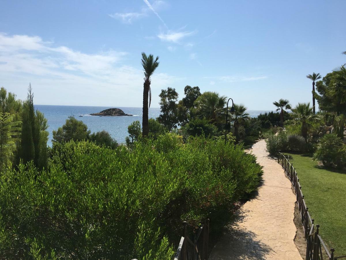 Apartamento Darwin Daire Altea Dış mekan fotoğraf